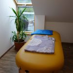 Ausleitung und Entgiftung von Schwermetallen