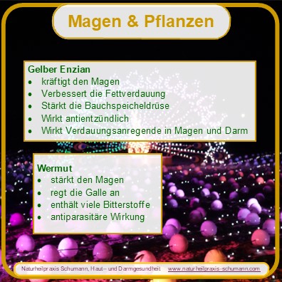 naturheilkunde bei Magenbeschwerden